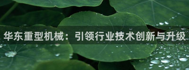 龍八國(guó)際官網(wǎng)登錄