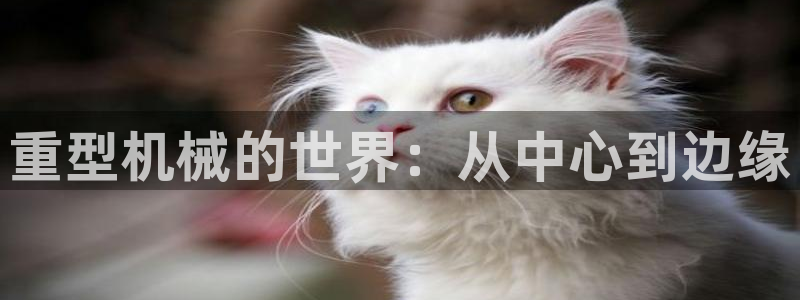 龍八國際怎么注冊(cè)下載