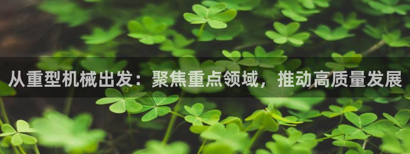 龍八國際合法