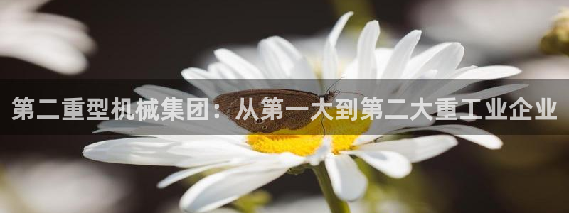 龍八國際客戶端下載蘋果