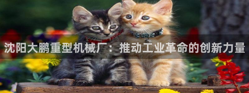 龍八國際官方網(wǎng)站手機版