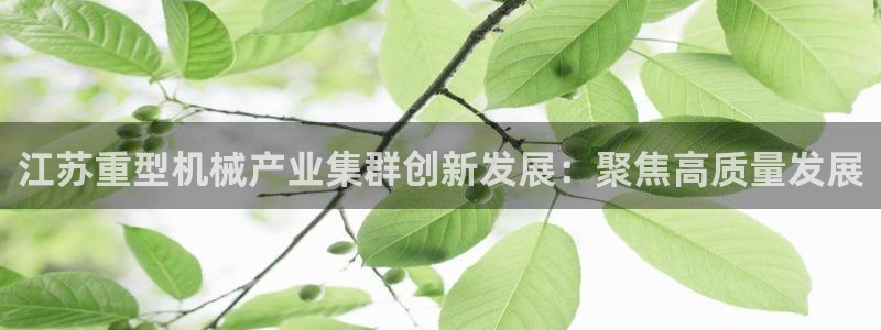 龍八國際客戶端下載安卓