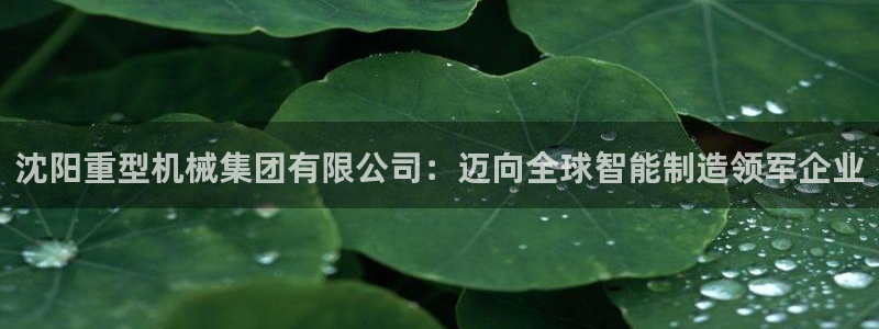 龍八國際手機登錄網址