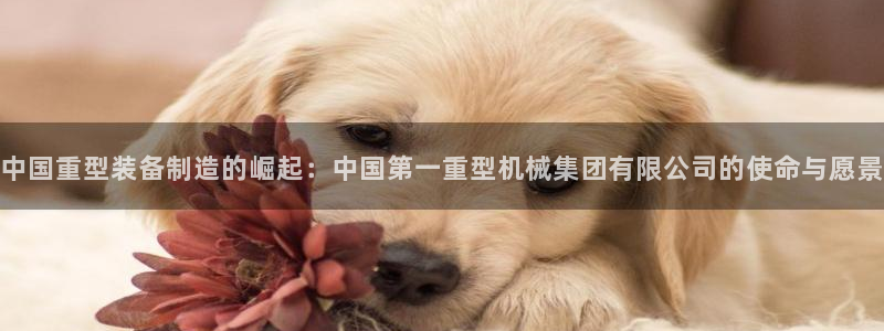 龍八國際登錄