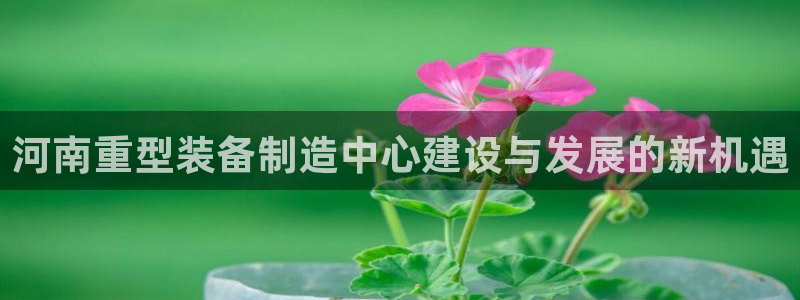龍八龍八國(guó)際
