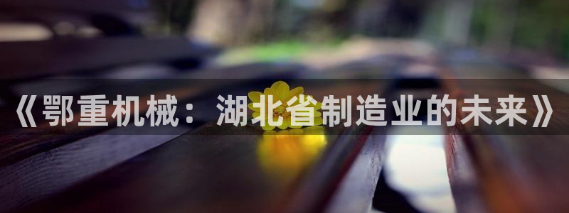 龍八國際娛樂靠譜嗎