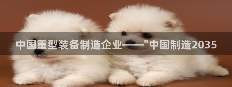 龍八國際這個平臺在哪里