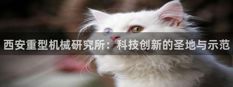 龍八國際網(wǎng)易云音樂