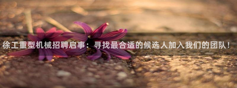 龍八國際pt客戶端下載