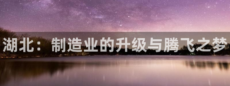 龍八國際我要登錄