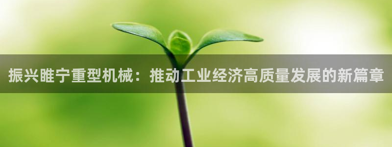 龍八國際在哪里啊
