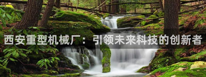 龍八國際娛樂官網(wǎng)多少