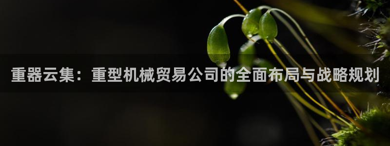 龍八國(guó)際可b48點(diǎn)tv
