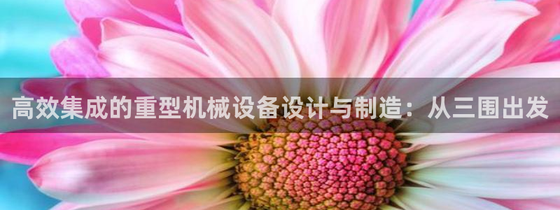 馮文戈 龍八國(guó)際集團(tuán)