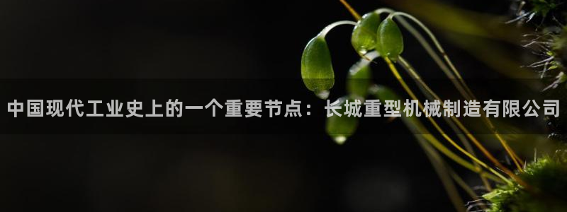 龍八國際官方登錄