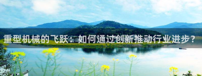 龍八國際體育