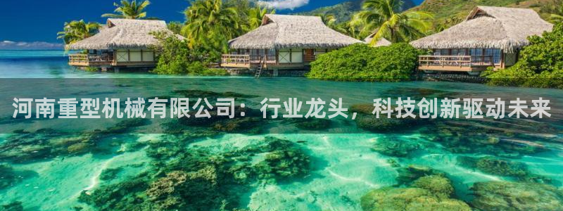 龍八國際官方下載