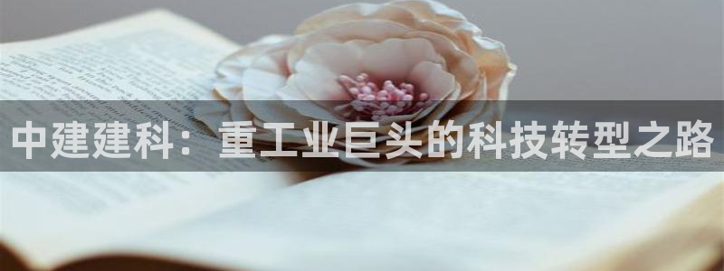 龍八國際下載鏈接安卓