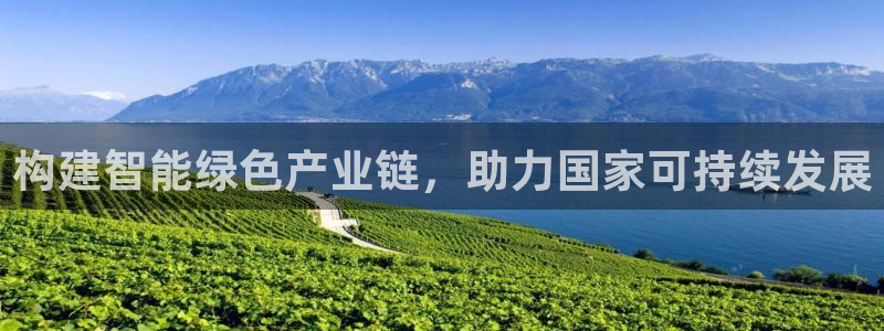 龍八國際現(xiàn)金