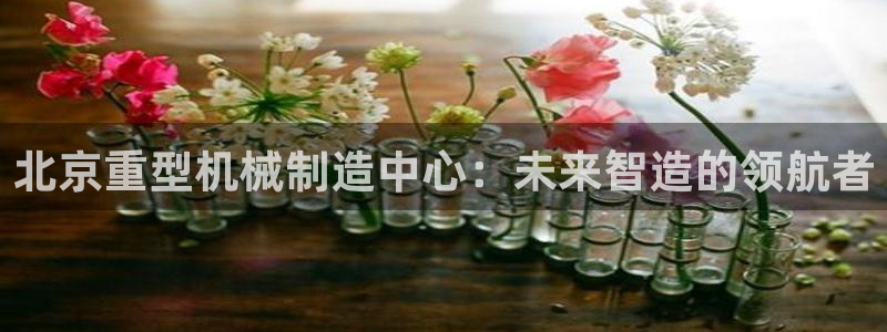 龍八國(guó)際手機(jī)端