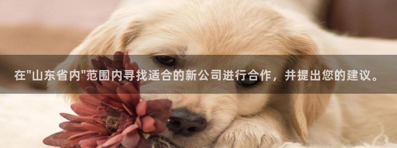 龍八國際下載官網(wǎng)平臺(tái)
