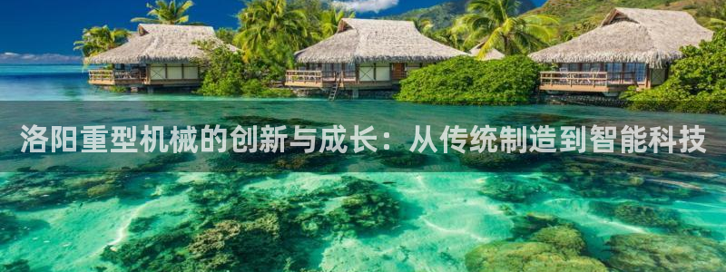龍八國際 官網(wǎng)