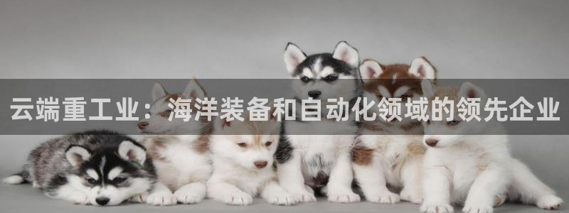 龍八國際現(xiàn)金