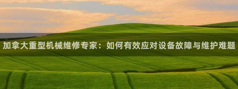 龍八國際官首頁